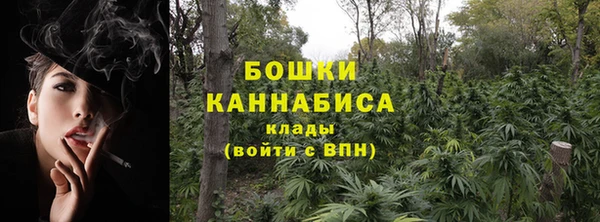 бошки Вязьма